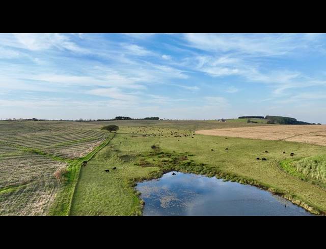 LAND FOR SALE IN MOUNT VERDE